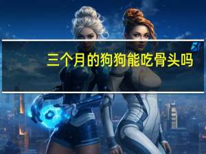 三个月的狗狗能吃骨头吗