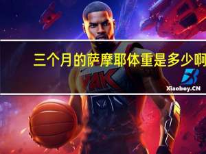 三个月的萨摩耶体重是多少啊