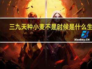 三九天种小麦不是时候是什么生肖（三九天种小麦）