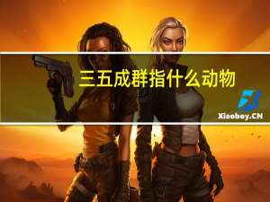 三五成群指什么动物