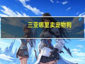 三亚哪里卖宠物狗