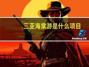 三亚海棠游是什么项目