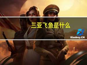 三亚飞鱼是什么（三亚飞鱼）