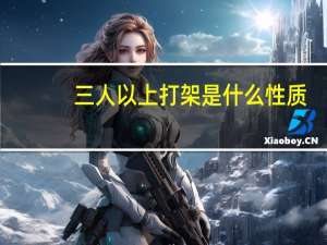三人以上打架是什么性质