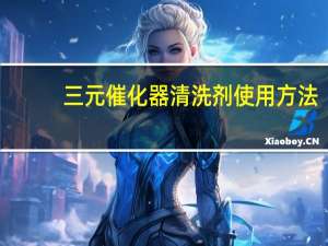 三元催化器清洗剂使用方法（三元催化器清洗方法）
