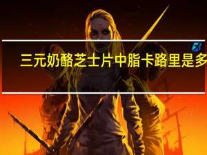 三元 奶酪芝士片中脂卡路里是多少