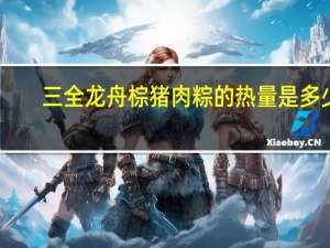 三全 龙舟棕 猪肉粽的热量是多少