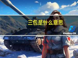 三包是什么意思