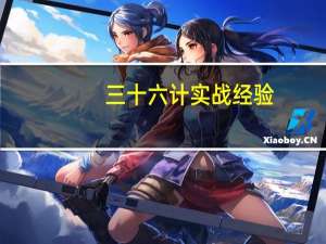 三十六计实战经验（三十六计外挂）