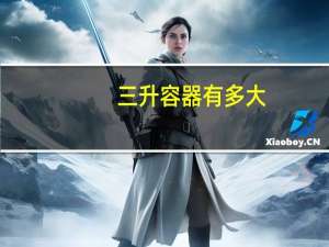 三升容器有多大