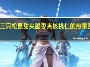 三只松鼠 甜夹脆枣夹核桃仁的热量是多少