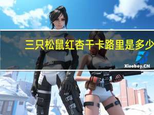 三只松鼠 红杏干卡路里是多少