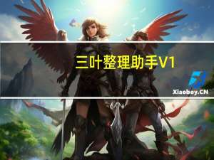 三叶整理助手 V1.3 绿色版（三叶整理助手 V1.3 绿色版功能简介）