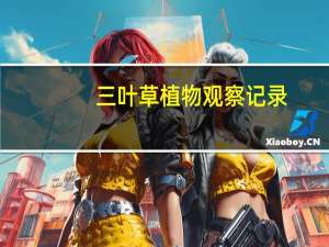 三叶草植物观察记录（三叶草植物）