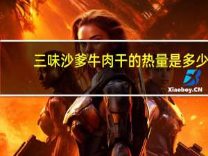 三味 沙爹牛肉干的热量是多少