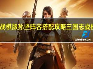 三国志战棋版孙坚阵容搭配攻略 三国志战棋版攻略大全