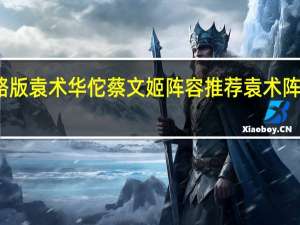三国志战略版袁术华佗蔡文姬阵容推荐 袁术阵容战法搭配攻略