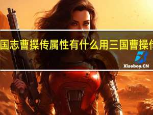 三国志曹操传属性有什么用 三国曹操传豪华版