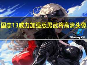 三国志13威力加强版男武将高清头像MOD V1.0 绿色免费版（三国志13威力加强版男武将高清头像MOD V1.0 绿色免费版功能简介）