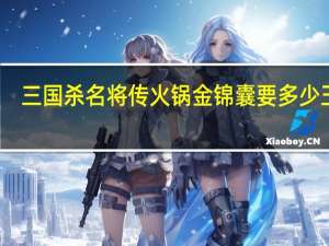 三国杀名将传火锅金锦囊要多少玉璧
