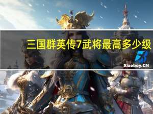 三国群英传7武将最高多少级