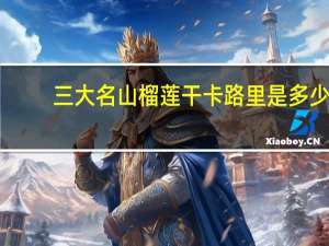 三大名山 榴莲干卡路里是多少