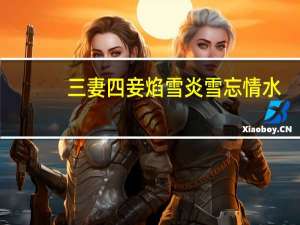 三妻四妾焰雪炎雪忘情水（三妻四妾焰雪炎雪）