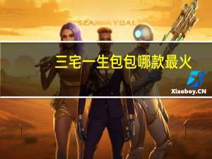 三宅一生包包哪款最火