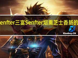 三富Senfter 三富 Senfter 烟熏芝士香肠的热量是多少