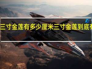 三寸金莲有多少厘米 三寸金莲到底有多小