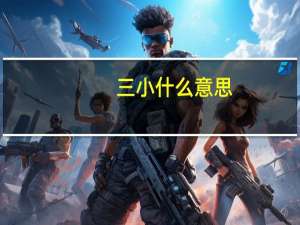 三小什么意思