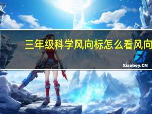 三年级科学风向标怎么看风向