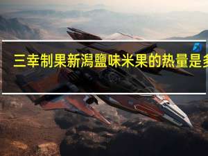 三幸制果 新潟鹽味米果的热量是多少