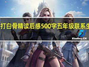 三打白骨精读后感500字五年级联系生活实际