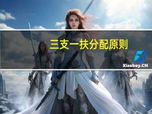 三支一扶分配原则