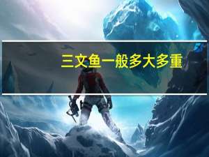 三文鱼一般多大多重