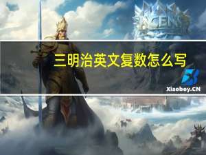 三明治英文复数怎么写（三明治英文复数）