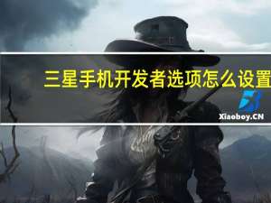 三星手机开发者选项怎么设置（三星手机开发者选项在哪里）