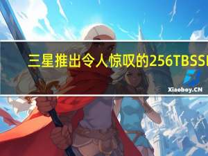 三星推出令人惊叹的 256TB SSD