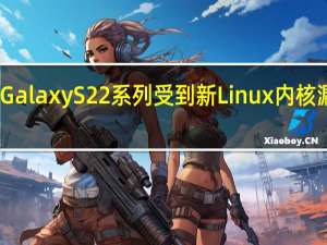 三星 Galaxy S22 系列受到新 Linux 内核漏洞的威胁