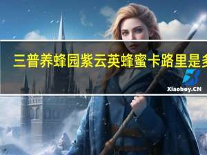 三普养蜂园 紫云英蜂蜜卡路里是多少