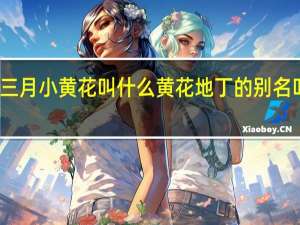 三月小黄花叫什么 黄花地丁的别名叫什么