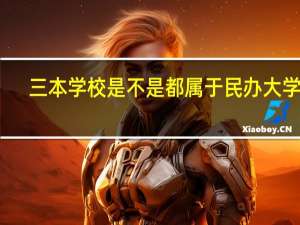 三本学校是不是都属于民办大学啊