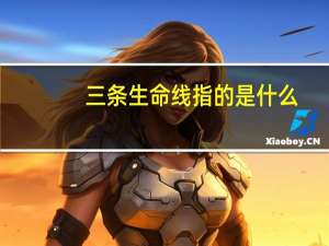 三条生命线指的是什么