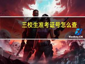 三校生准考证号怎么查