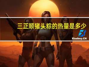 三正顺 猪头粽的热量是多少