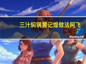 三汁焖锅黄记煌做法阿飞