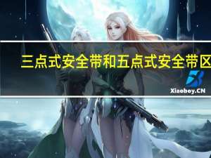 三点式安全带和五点式安全带区别（三点式安全带）
