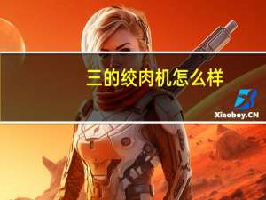 三的绞肉机怎么样