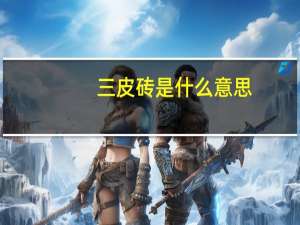 三皮砖是什么意思